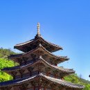 법주사 - 경상북도 군위군 | 법주사