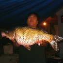 꿩대신닭 이미지