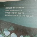 반딧불이 아롱아롱 이미지