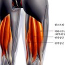 근골명가