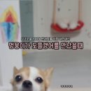 꼬순내공방 네이버블로그