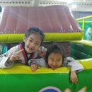 박사태권도 스포츠 클럽 이미지