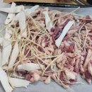 군자오리촌 이미지