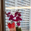 안종우통합치과의원 이미지