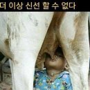 목구멍 - 미추홀구 토금중로 16 | 목구멍