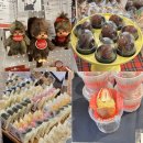 다모여 | 동명동 두쫀쿠 플리마켓 '동명봉마셰' 두친자들 다 모여! (라인업, 웨이팅 후기)