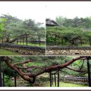 순천 선암사(仙巖寺)