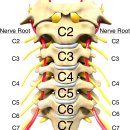 예천경희한의원 이미지