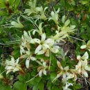 (주)마당 이미지