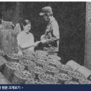 연탄직매소 Daum카페