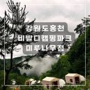 미루하우스 | [강원도 홍천]비발디캠핑파크 미루나무점 명당추천ㅣ홍천캠핑 애견동반가능캠핑장 프라이빗 숲속캠핑...