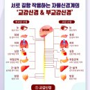 핏라이프피트니스 이미지