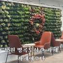 카페애오다명곡도서관 네이버블로그