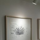 in nature 이미지