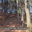 조선 최대 땅부자 친일파 무덤을 찾아간 유튜버 이미지