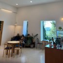 허니몽 | 제주도 서귀포 서쪽 유튜버 하누 LLLF 카페 추천유무