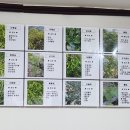 충무장어구이 네이버블로그