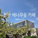 배나무숲 | 천안 배나무숲 카페 배꽃 시즌 방문 후기