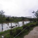 안산천수변공원1 이미지