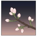 명포토