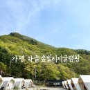 다산1리 | 가평 하늘숲빌리지글램핑 :: 신축 글램핑장 추천 내돈내산 후기