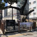 장위행복누림도서관 이미지