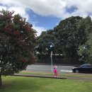 웨스턴스프링스 이미지