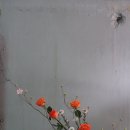 동양장식 - 중구 병영로 8 | 동양장식