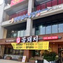 꼼돼지 이미지