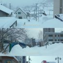오타루커피
