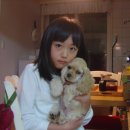 아기몽 Daum카페