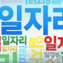 911방역 - 서귀포시 | 911방역