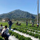 지아농장 이미지
