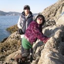 심리 해안가 이미지