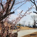 낙동강변18 이미지