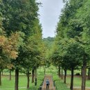 하우치야 이미지