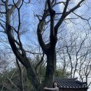 보성열화정>이진래고택 이미지