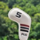 에스제이지 이미지