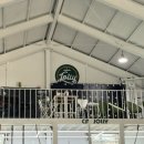 크로스핏 졸리 이미지