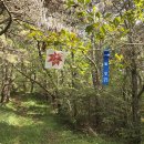 둔덕기성주차장 이미지