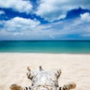 제주우리동물병원 이미지