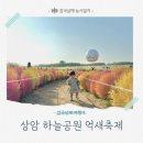 상암 하늘공원억새축제 아기랑 (맹꽁이버스대기시간/애견동반/억새 댑싸리 개화)