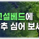 철&빈 네이버블로그