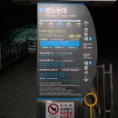 부산터널 2 | 부산 벚꽃 명소 태종대, 다누비 열차타고 벚꽃터널 즐겨볼까?