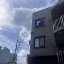 이프지뷰티 | 망포역왁싱 무드왁싱앤뷰티 후기