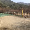 가창 미나리 삼겹살 / 대구 미나리 삼겹살 대구 애견동반식당 달송 후기