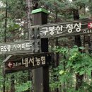 내서농협 호계지점 Daum카페