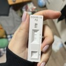 김옥용의원 네이버블로그