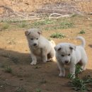 해마루농장 이미지