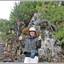 세종전통장류박물관 이미지